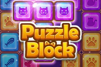 Puzzle Block