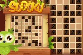 Sudoku 4 in 1